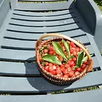 Apartment Lovely With Pool In Poreč