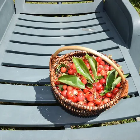 Lejlighed Lovely With Pool In Poreč