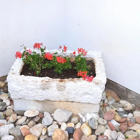 Lovely With Pool In Daire Poreč