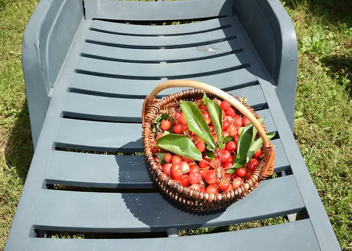 شقة Lovely With Pool In بوريتش